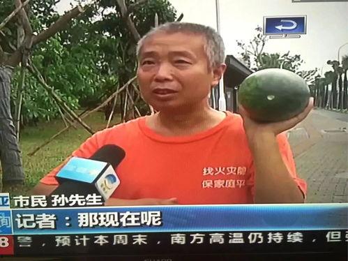 热门事件吃瓜网,吃瓜网带你一探究竟