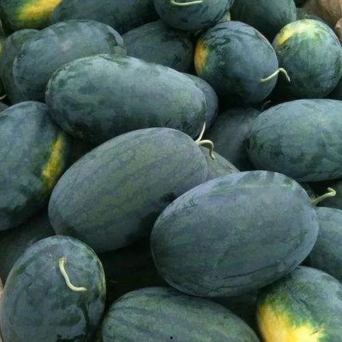 吃瓜黑料网红后入口,入口即知真相背后的故事