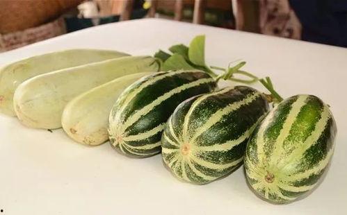 吃网红瓜的平台叫啥了呀,揭秘“吃瓜群众”的新阵地