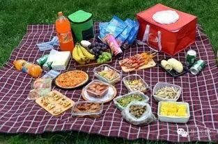 野餐兔网红吃瓜图片大全,趣味横生萌态十足