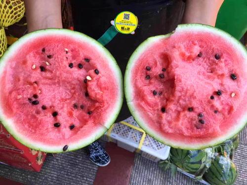 吃瓜原创网红推荐视频