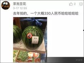 人民吃瓜网在线观看,在线观看，畅享全民娱乐盛宴